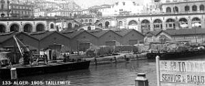 133- Alger- 1905- Taillemite